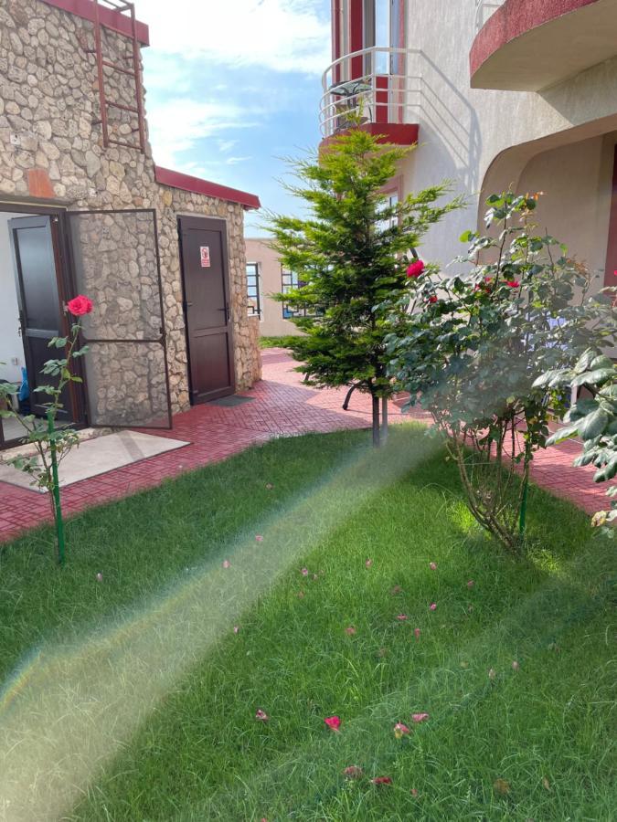 Vila Julia Costinești Εξωτερικό φωτογραφία